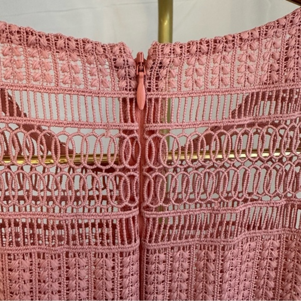 Antonio Melani BEAUTIFUL pale pink drop waist lace dress. Lines. Size 2. - Picture 6 of 9